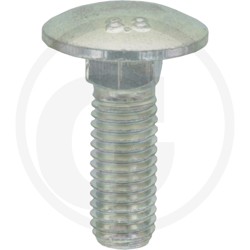 Din 603 M8X30 Va Schlossschraube